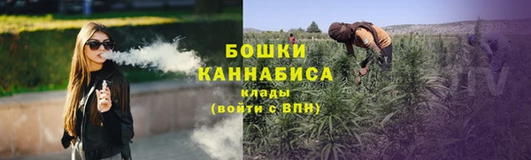 дурь Вяземский