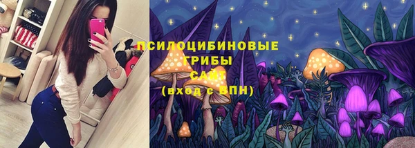 крисы Алексеевка